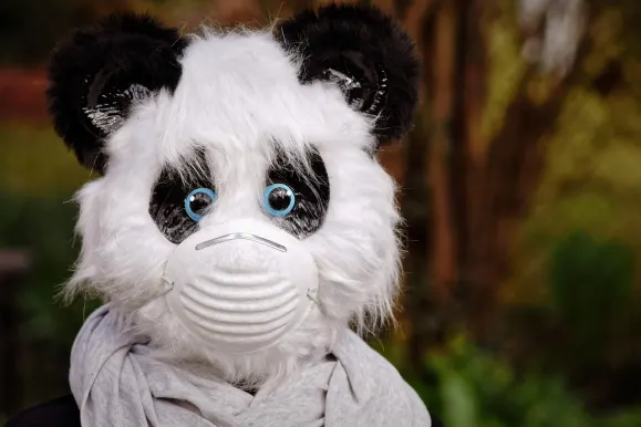 Bitcoza Kazino Atbalsts